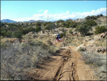 Honda CRF Motorcycle at Redington Pass Trail