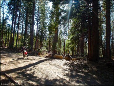 Honda CRF Dirtbike at Indian Springs Trail