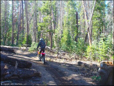 Honda CRF Motorcycle at Genoa Peak Trail