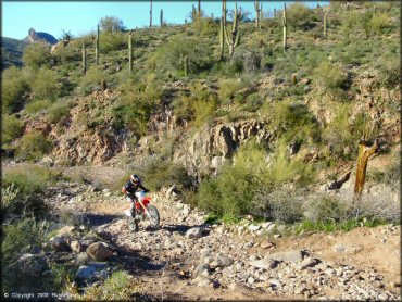 Honda CRF Motorcycle doing a wheelie at Bulldog Canyon OHV Area Trail