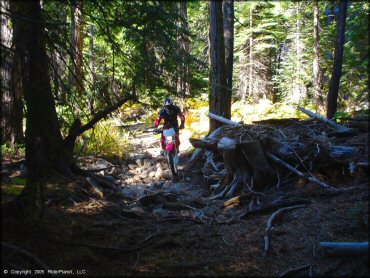 Honda CRF Trail Bike at Indian Springs Trail