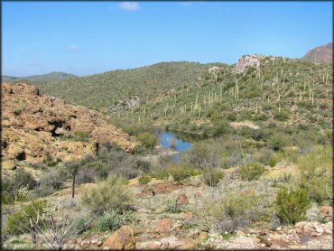 Shallow pond surrounded by saguaro and cholla cacti.