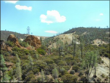 Scenic view at Clear Creek Management Area Trail
