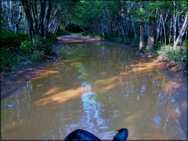 View from seat of ATV parked in center of trail looking at wide and deep water puddle.