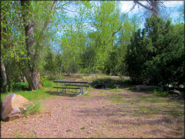Scenic view of campsite with picnic table, fire ring and BBQ grill surrounded by aspen and juniper trees.