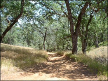 Terrain example at Mammoth Bar OHV OHV Area