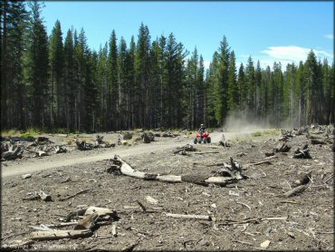 Girl riding a Honda Quad at South Camp Peak Loop Trail