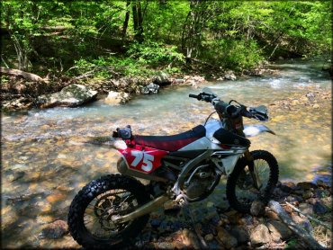 Boardstand Road and Old Military Road Trail