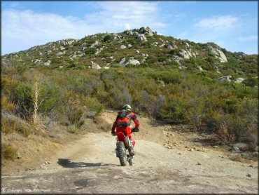 A close up photo of a rider on a Honda dirt bike navigating an ATV trail.