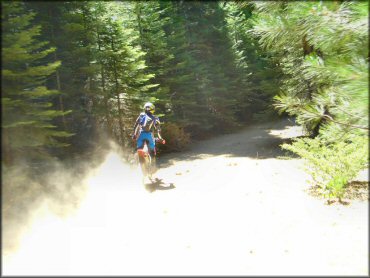 Honda CRF Dirtbike at Gold Note Trails