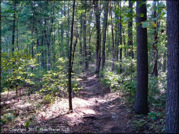 Some terrain at Hodges Village Dam Trail