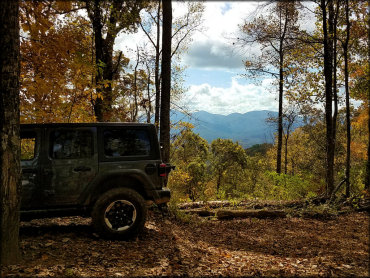 Beasley Knob OHV Trail System