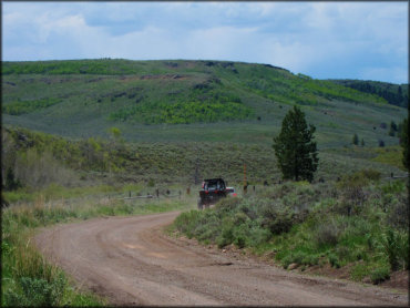 Red UTV riding on hardpacked Forest Service Road.