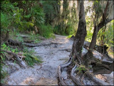 Peace River Campground Trail