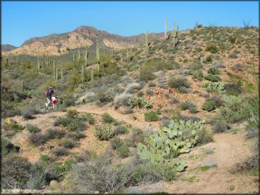 Honda CRF Motorcycle at Bulldog Canyon OHV Area Trail