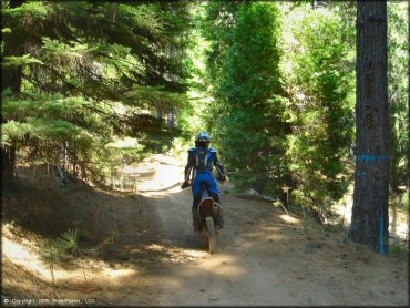 Honda CRF Dirt Bike at Gold Note Trails