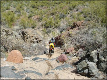 Honda CRF Motorcycle at Black Hills Box Canyon Trail