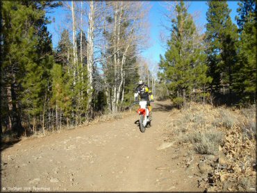 OHV at Billy Hill OHV Route Trail