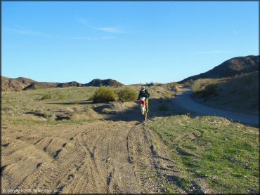 Honda CRF Trail Bike doing a wheelie at Shea Pit and Osborne Wash Area Trail