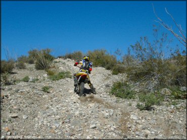 Honda CRF Dirt Bike at Mescal Mountain OHV Area Trail