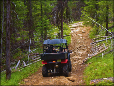 Twin Sisters and Mack King Trails