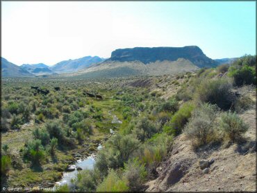 Scenic view of Mullen Creek Trail