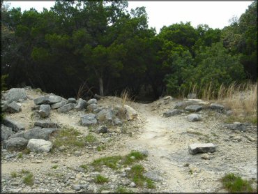 Example of terrain at Emma Long Metropolitan Park Trail