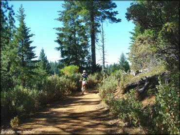 Honda CRF Motorcycle at Interface Recreation Trails