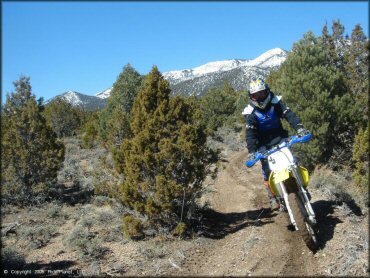 OHV at Ward Charcoal Ovens State Historic Park Trail