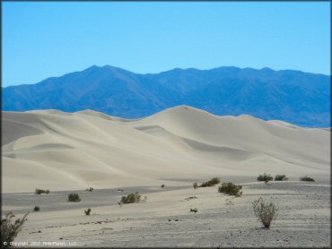 Scenery at Dumont Dunes OHV Area