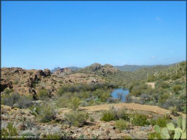 View of seasonal pond surrounded by rugged terrain, saguaro, prickley pear and cholla cacti.