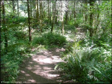 Example of terrain at Jordan Creek Trail