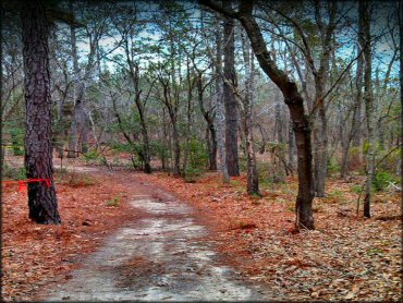 MX 56 Track and Trails OHV Area