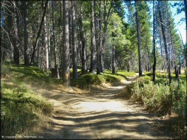 A trail at Miami Creek OHV Area Trail