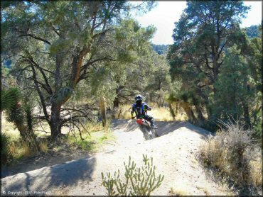 Honda four-stoke dirt bike going through sandy berm on an ATV trail.