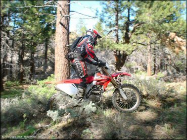 Honda CRF Motorcycle at Bull Ranch Creek Trail