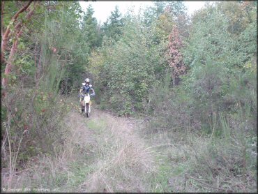 OHV at South Valley Resource Area Trail