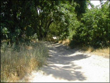 Shad Pad OHV Area