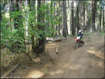 Honda CRF Dirt Bike at Elkins Flat OHV Routes Trail