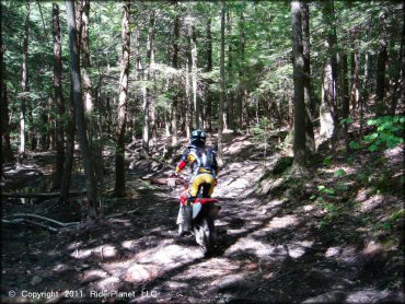 Honda CRF Motorcycle at Beartown State Forest Trail