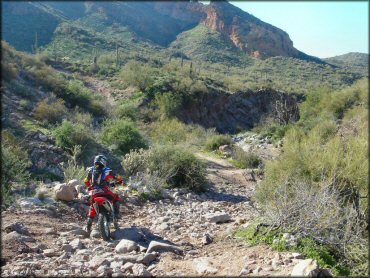 Honda CRF Off-Road Bike at Bulldog Canyon OHV Area Trail