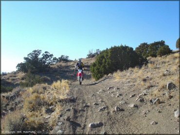 Honda CRF Dirt Bike at Stead MX OHV Area