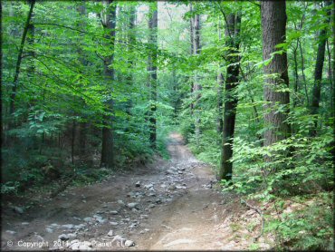 A rocky trail at Pisgah State Park Trail