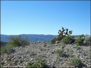 A trail at Mescal Mountain OHV Area Trail