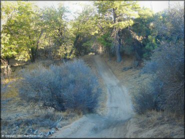 Example of terrain at Lake Arrowhead Trail