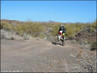 Honda CRF Dirt Bike popping a wheelie at Standard Wash Trail