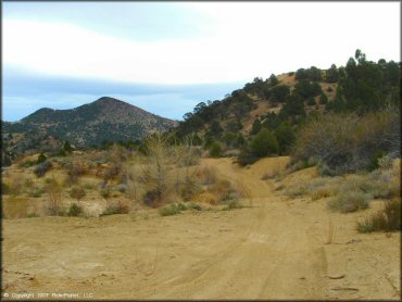 A trail at Sevenmile Canyon Trail