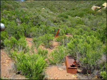 Scenic view of Ortega Trail