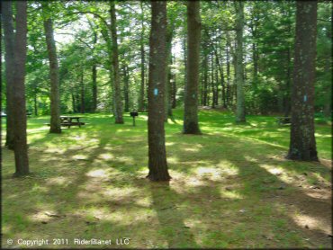 Amenities example at Pachaug State Forest Trail