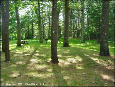 Some amenities at Pachaug State Forest Trail